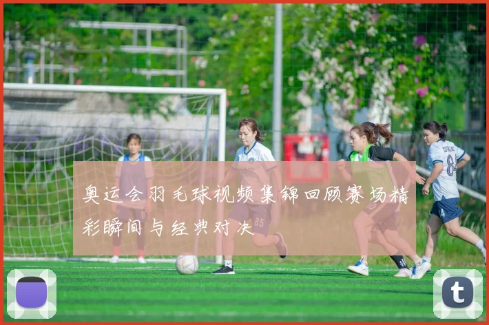 奥运会羽毛球视频集锦回顾赛场精彩瞬间与经典对决