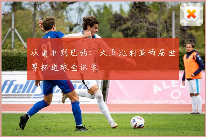 从南非到巴西：大卫比利亚两届世界杯进球全记录